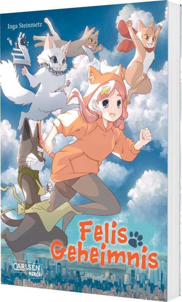 Felis Geheimnis main product photo