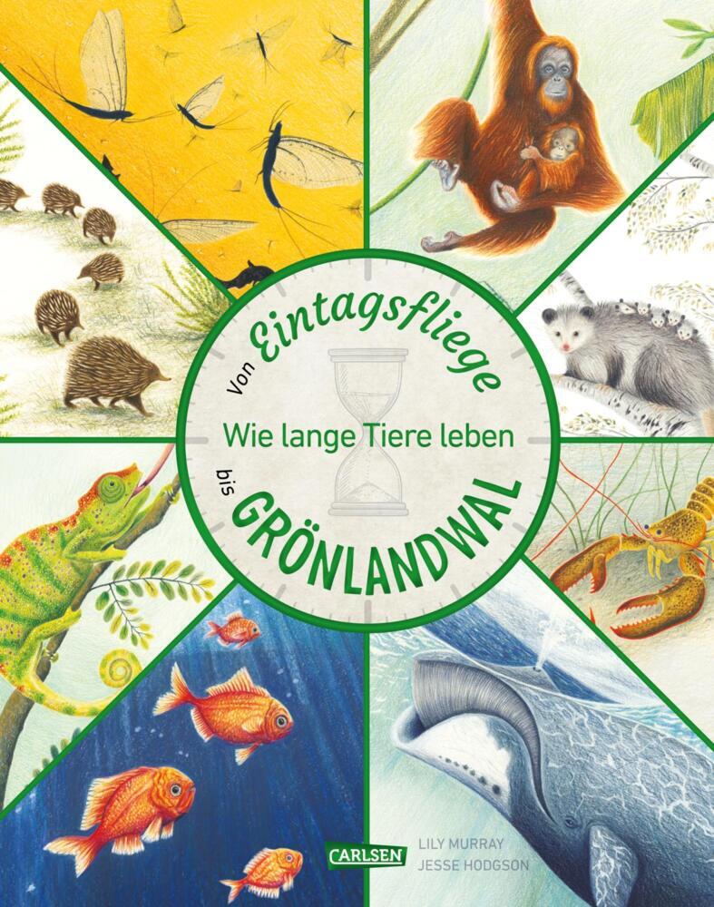 Von Eintagsfliege bis Grönlandwal main product photo