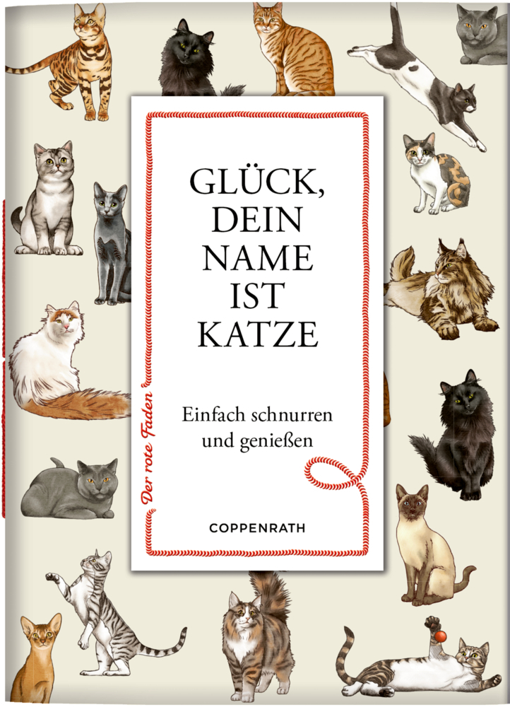 Glück, dein Name ist Katze main product photo