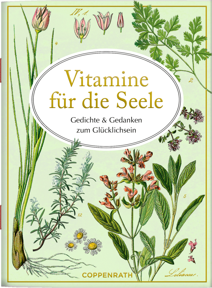 Vitamine für die Seele main product photo