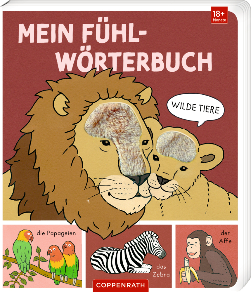Mein Fühl-Wörterbuch main product photo