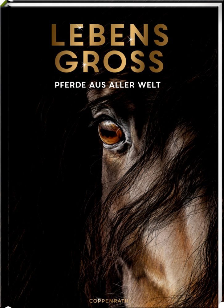 Lebensgroß main product photo