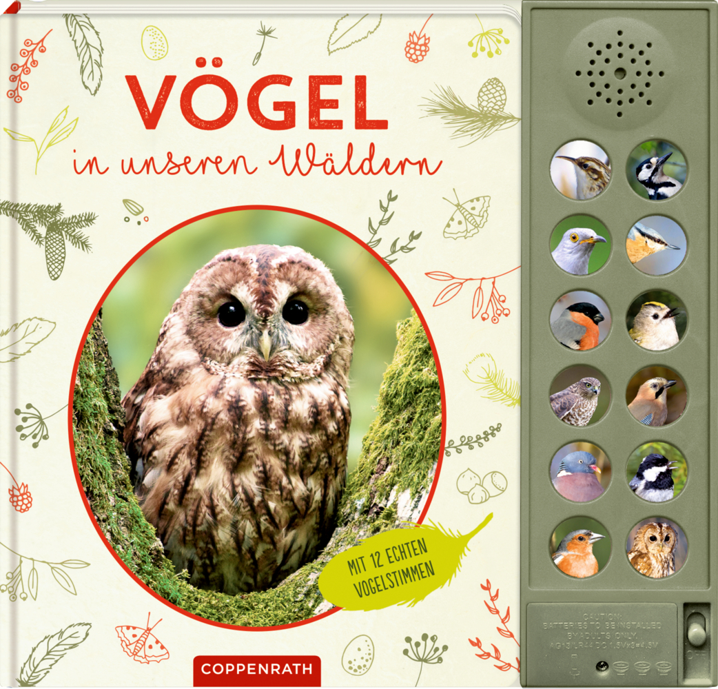 Vögel in unseren Wäldern main product photo