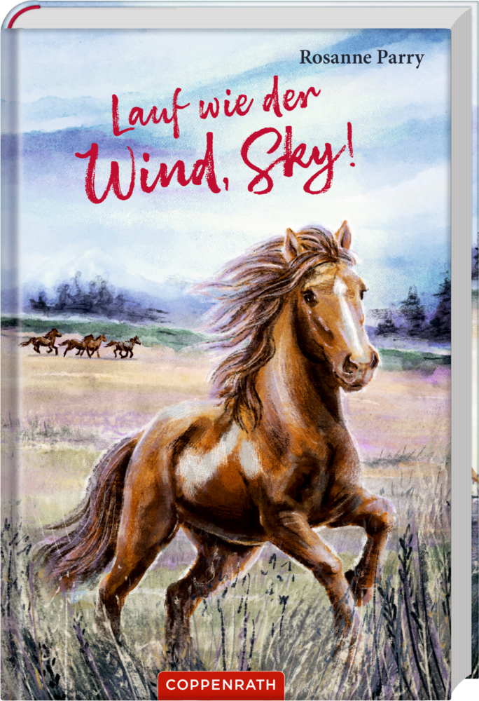 Lauf wie der Wind, Sky! main product photo