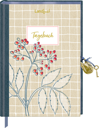 Tagebuch mit Schloss