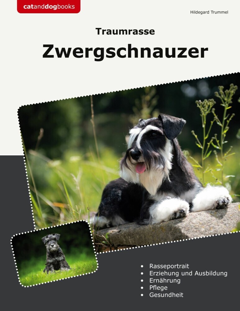 Traumrasse Zwergschnauzer main product photo