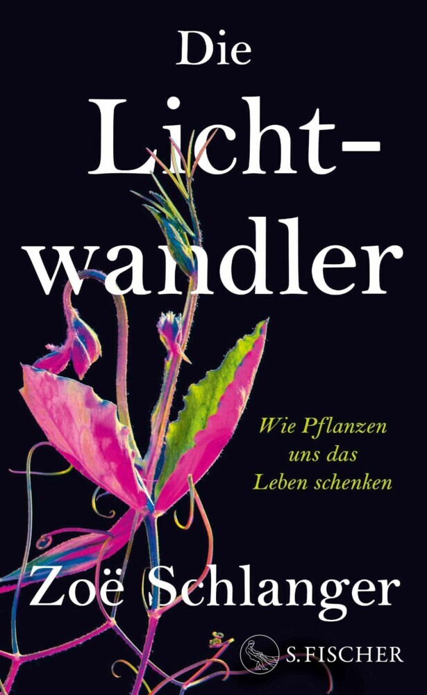 Die Lichtwandler main product photo