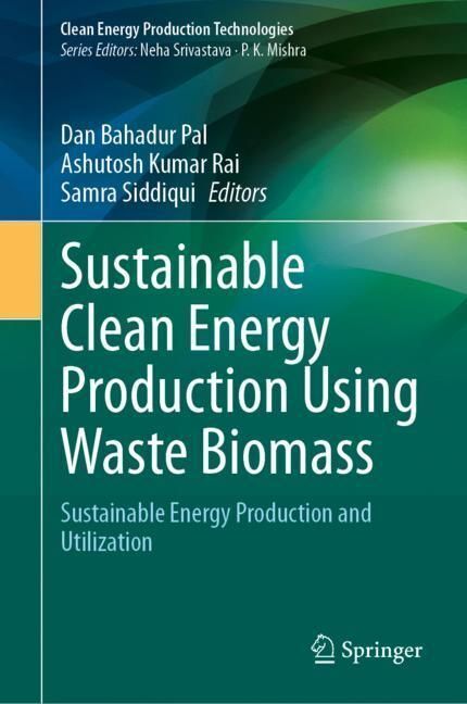 Sustainable Clean Energy Production Using Waste Biomass main product photo