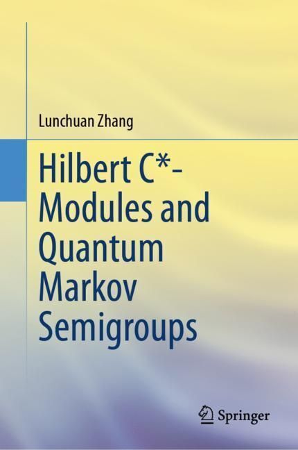 Hilbert C*- Modules and Quantum Markov Semigroups main product photo