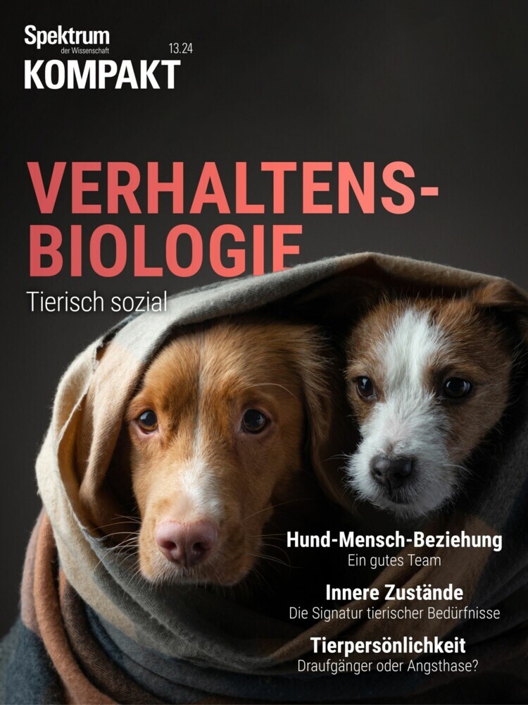 Spektrum Kompakt - Verhaltensbiologie main product photo