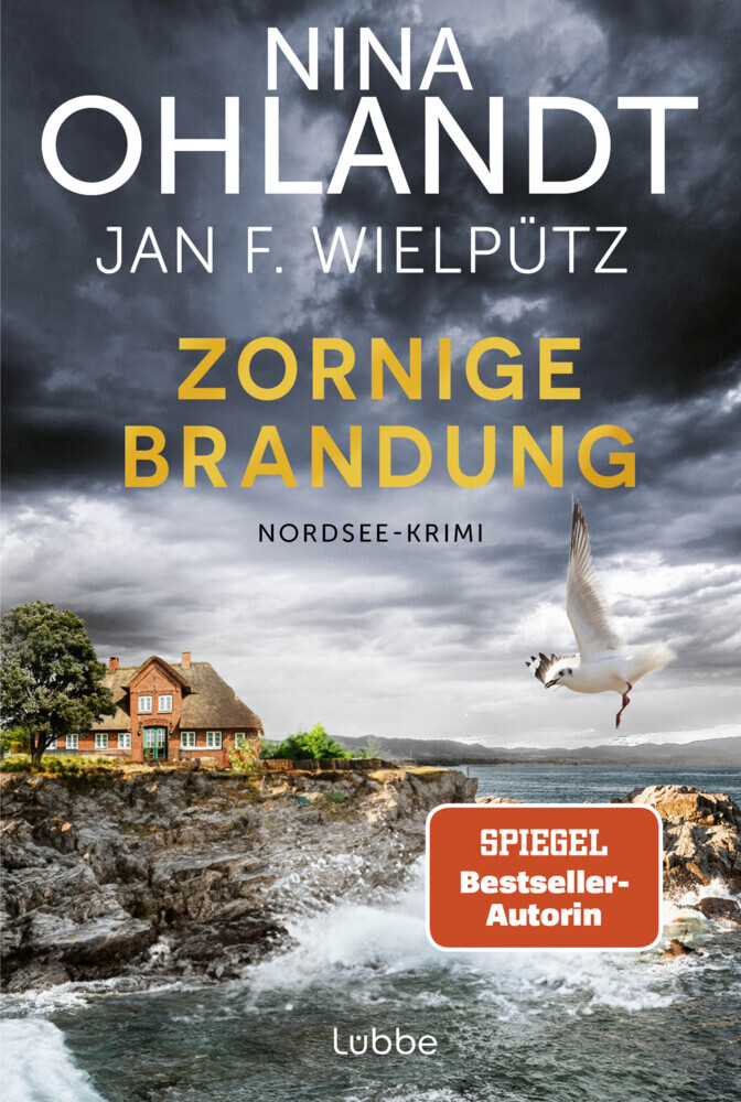 Zornige Brandung main product photo