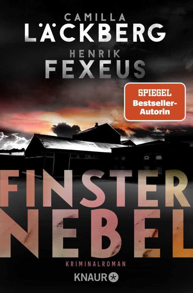 Finsternebel main product photo