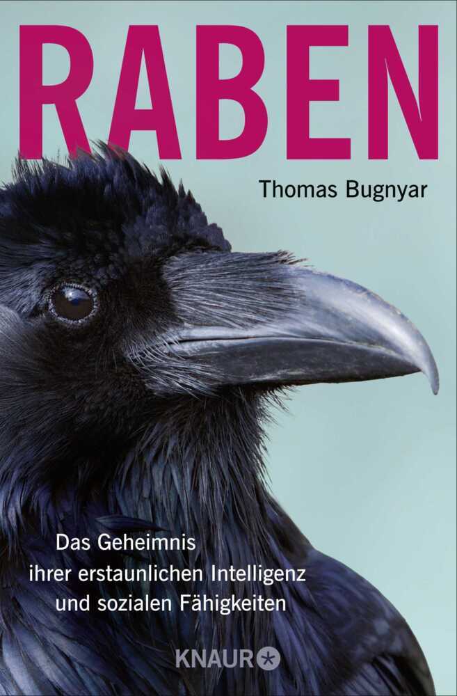 Raben main product photo