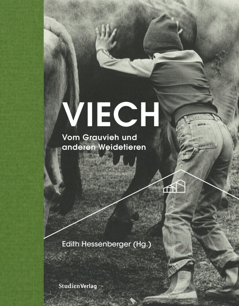 Viech main product photo