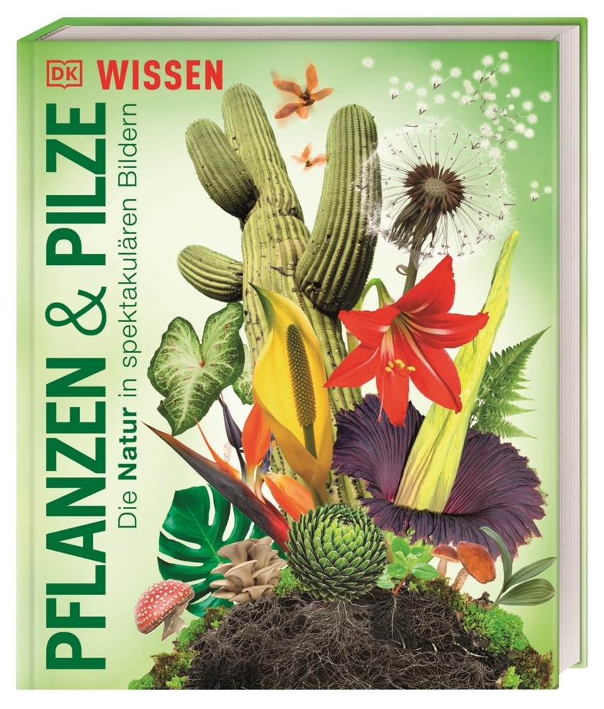 DK Wissen. Pflanzen und Pilze main product photo