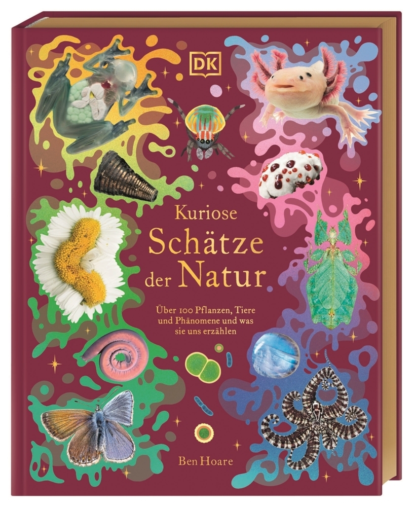 Kuriose Schätze der Natur main product photo