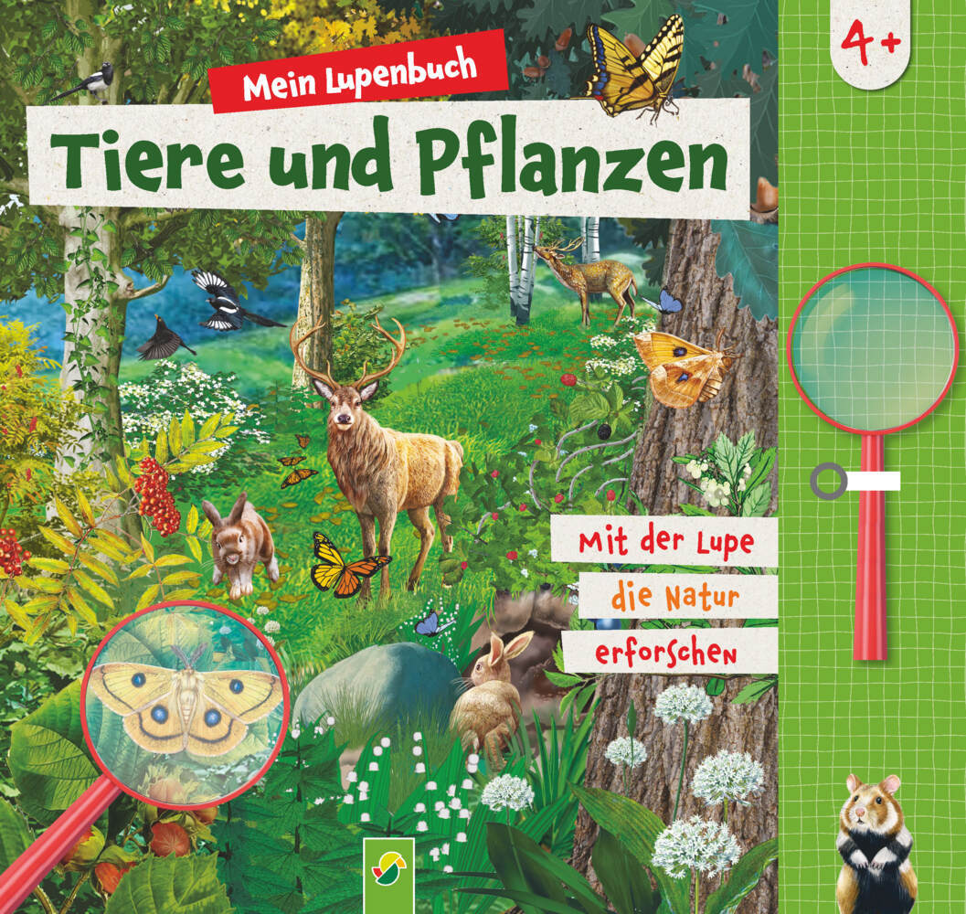 Mein Lupenbuch Tiere und Pflanzen main product photo