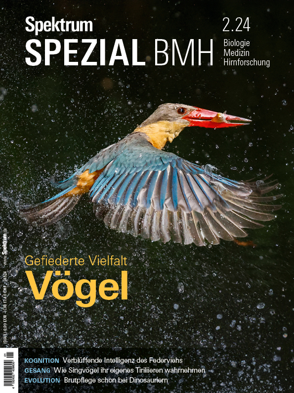 Spektrum Spezial BMH 2/2024 - Vögel main product photo