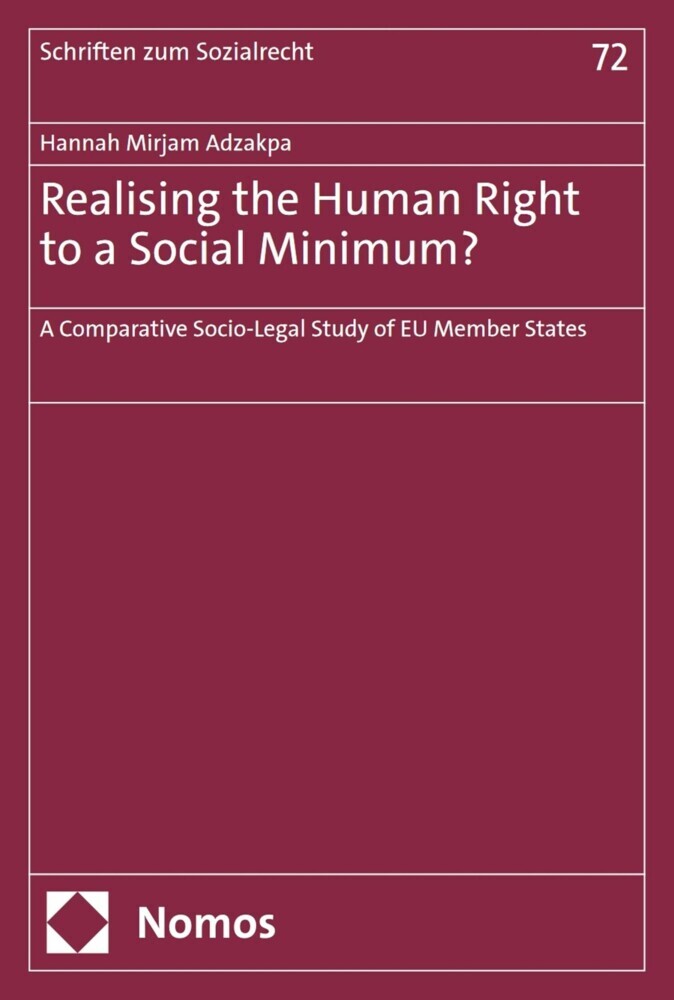 Realising the Human Right to a Social Minimum? main product photo
