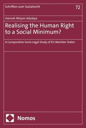 Realising the Human Right to a Social Minimum?