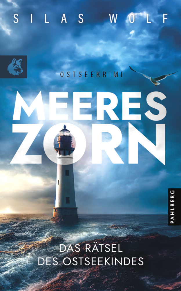 Meereszorn - Das Rätsel des Ostseekindes main product photo