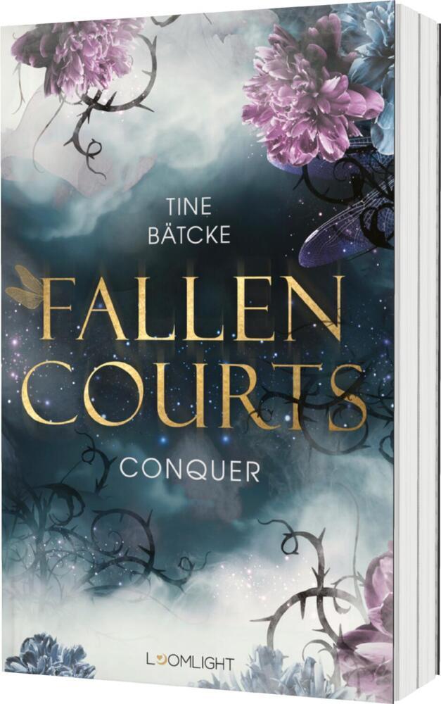 Fallen Courts 1: Conquer main product photo
