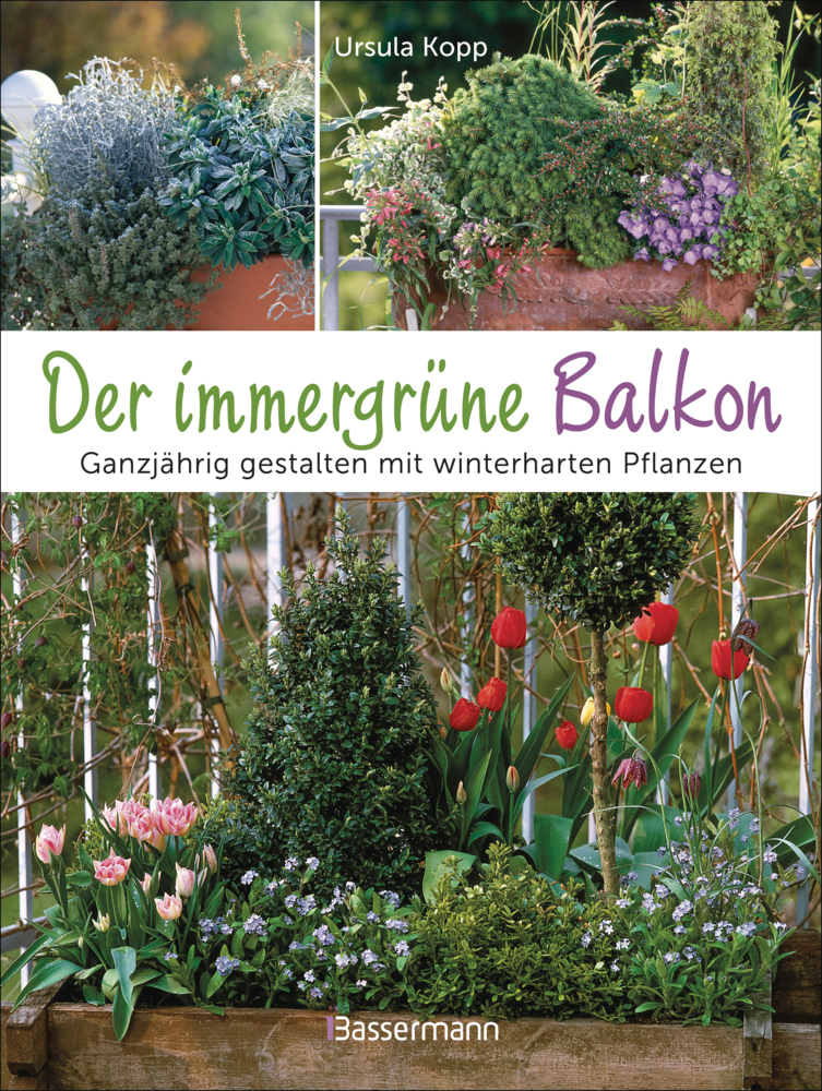 Der immergrüne Balkon. Ganzjährig gestalten mit winterharten Pflanzen main product photo