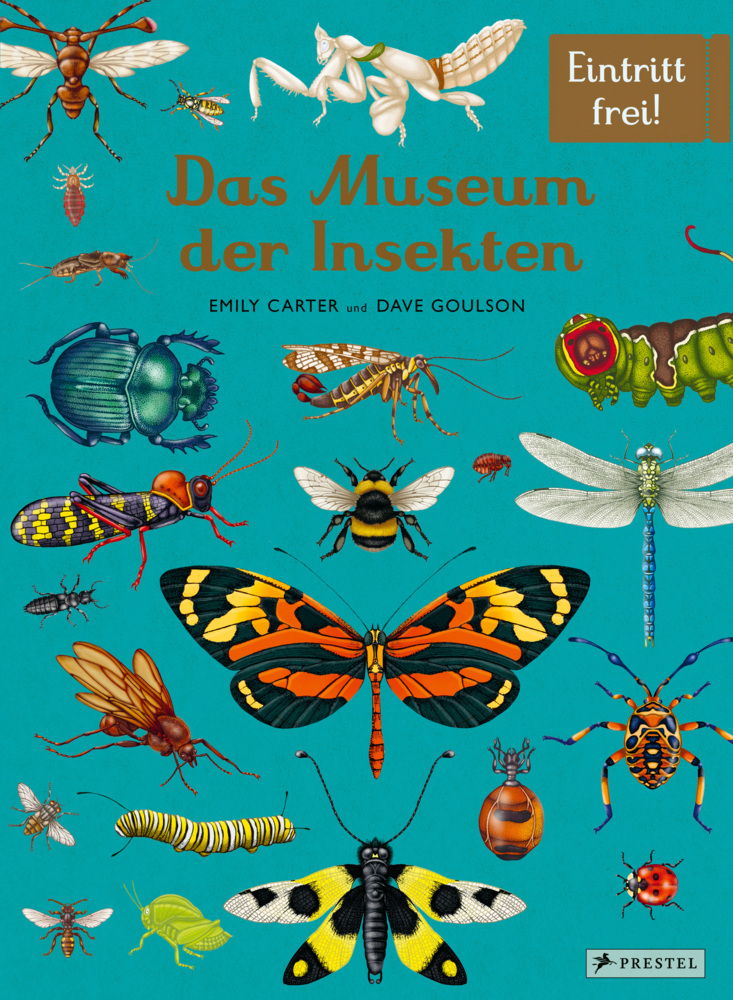 Das Museum der Insekten main product photo