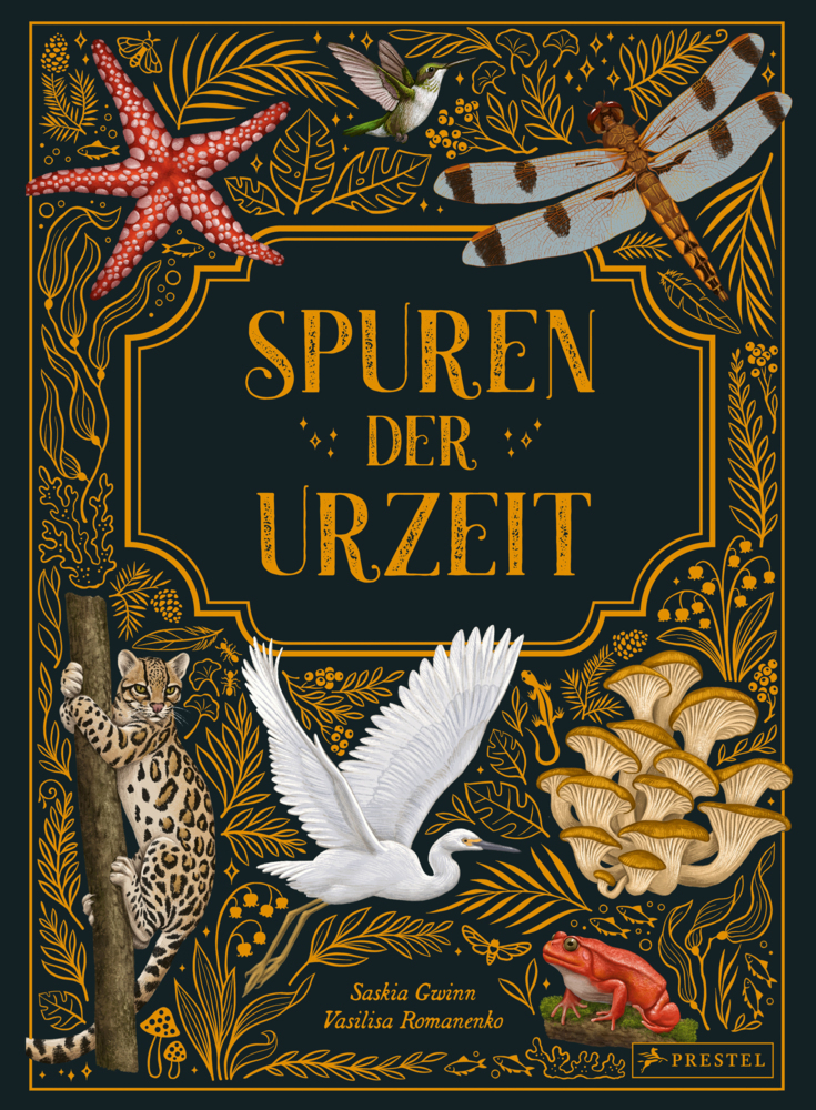 Spuren der Urzeit main product photo
