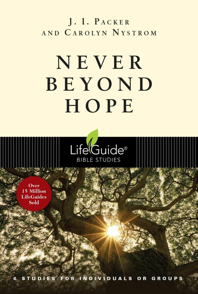 Never Beyond Hope main product photo