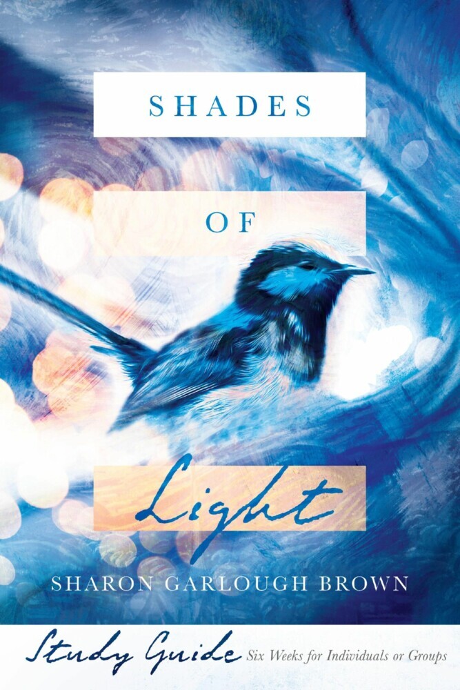 Shades of Light Study Guide main product photo