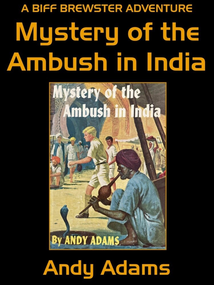 Mystery of the Ambush in India main product photo
