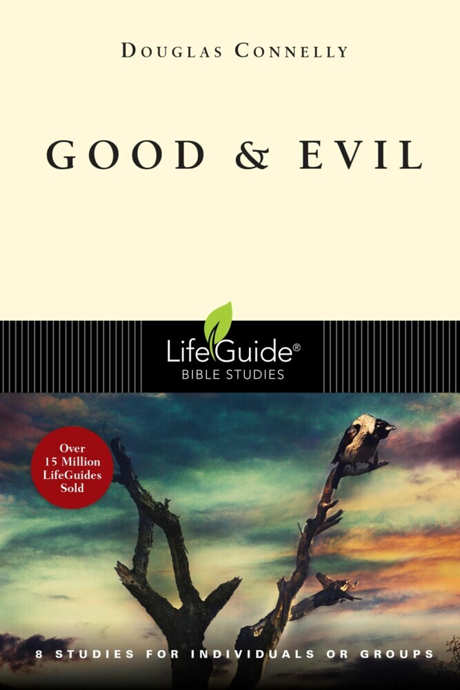 Good and Evil main product photo
