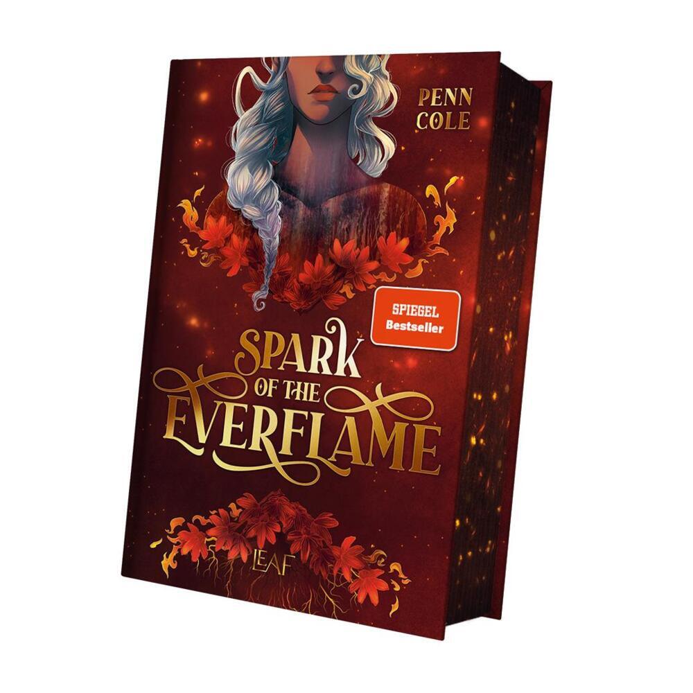 Spark of the Everflame main product photo