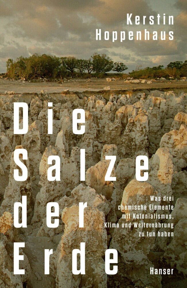 Die Salze der Erde main product photo