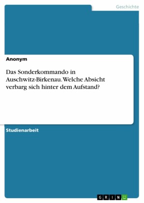 Das Sonderkommando in Auschwitz-Birkenau. Welche Absicht verbarg sich hinter dem Aufstand?