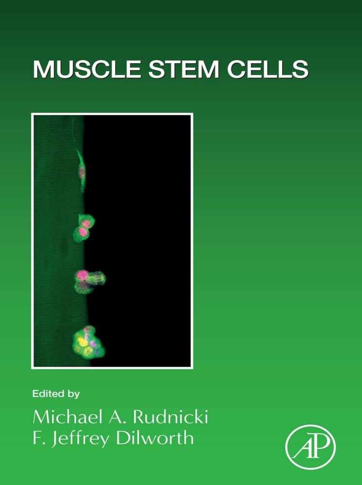 Muscle Stem Cells main product photo