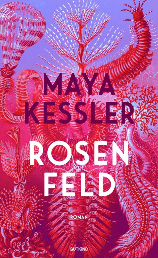 Rosenfeld main product photo