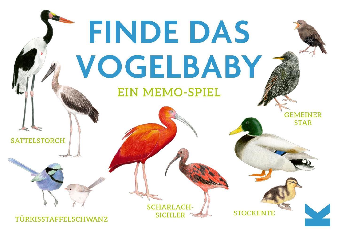 Finde das Vogelbaby main product photo