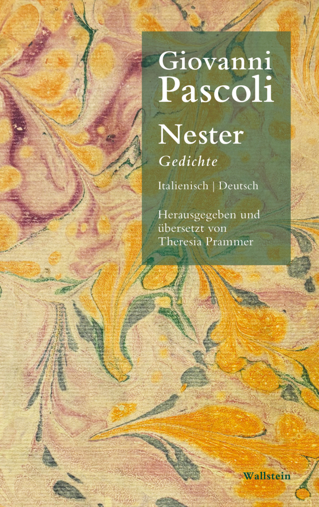 Nester main product photo