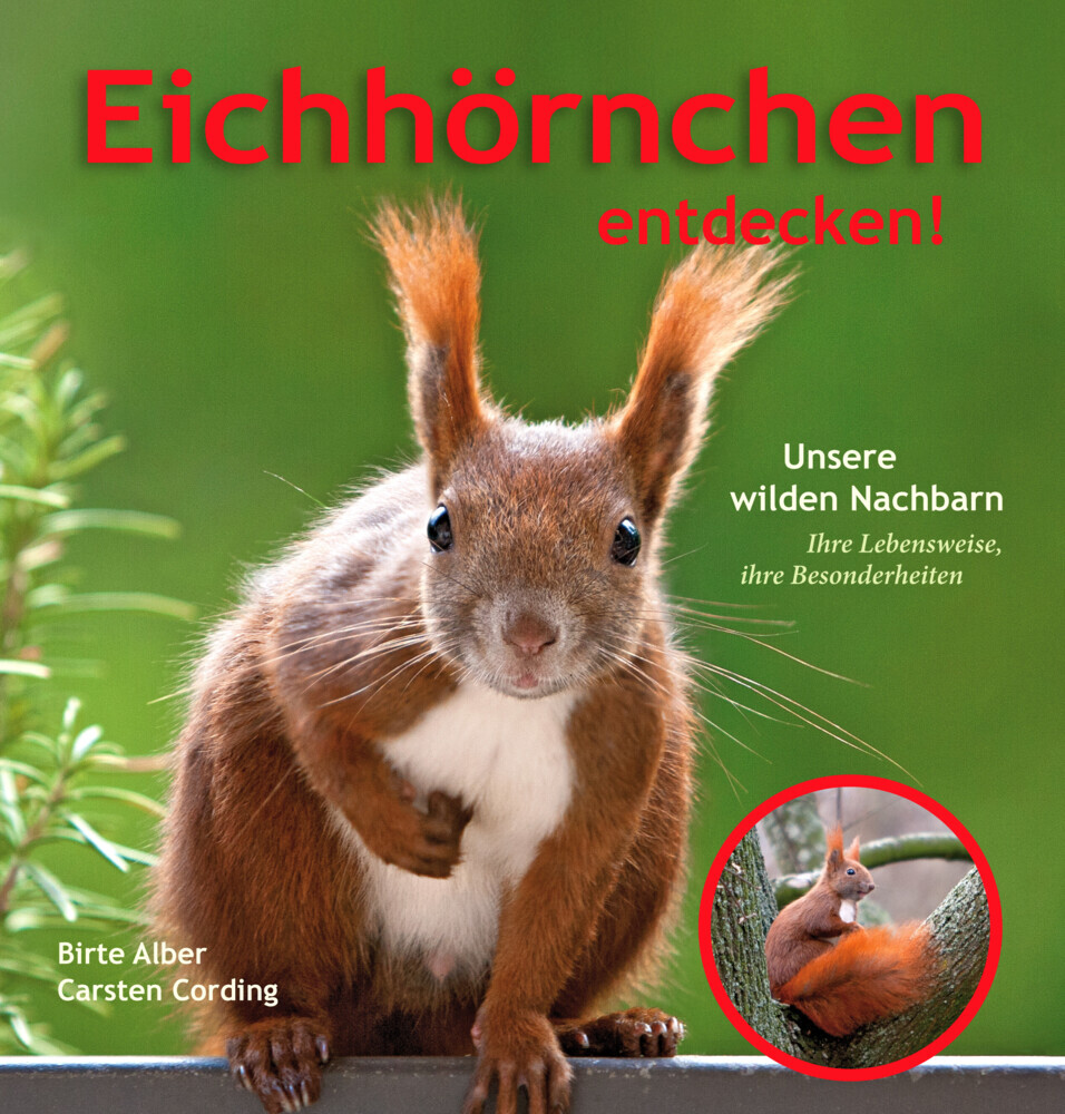 Eichhörnchen entdecken! main product photo