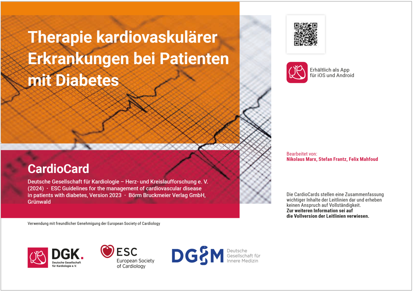 Therapie kardiovaskulärer Erkrankungen bei Patienten mit Diabetes main product photo