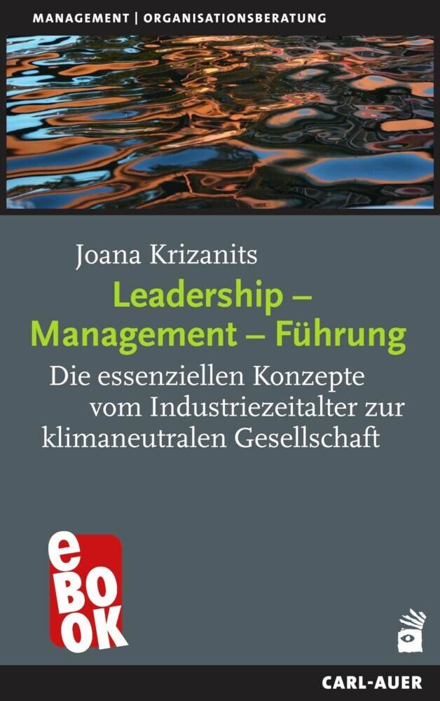 Leadership - Management - Führung main product photo