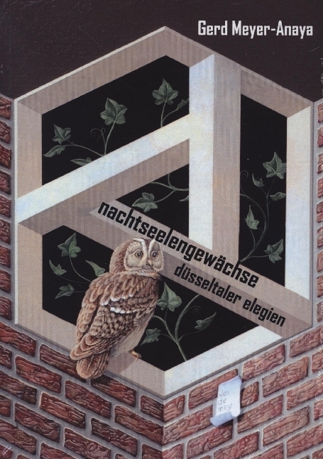 nachtseelengewächse main product photo