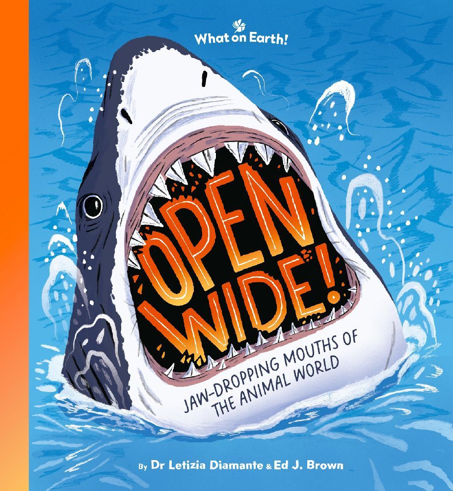 Open Wide! main product photo