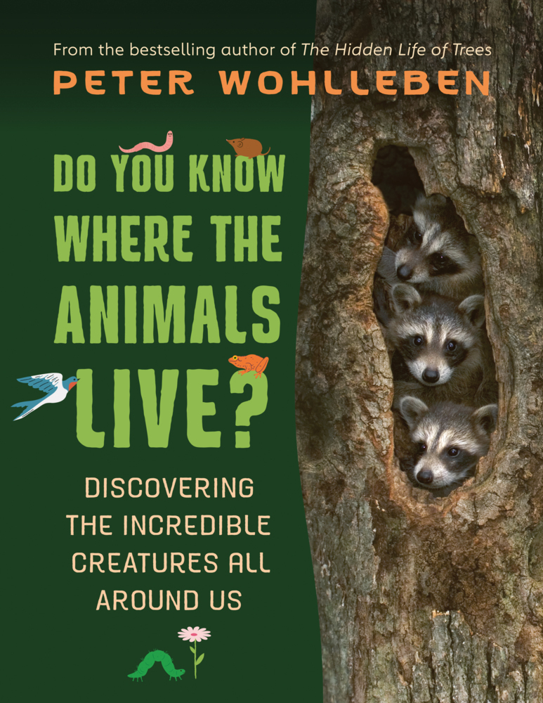 Do You Know Where the Animals Live? main product photo