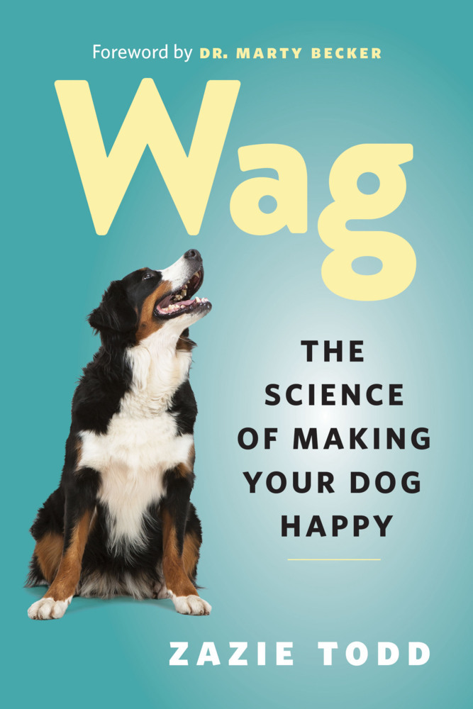 Wag main product photo