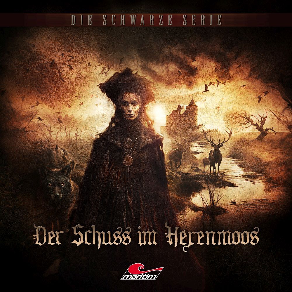 Die Schwarze Serie - Der Schuss im Hexenmoos, 1 Audio-CD main product photo