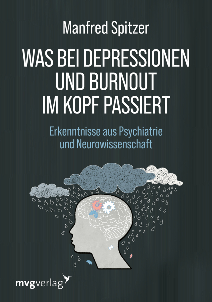 Was bei Depressionen und Burnout im Kopf passiert main product photo