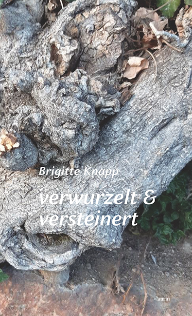 verwurzelt & versteinert main product photo